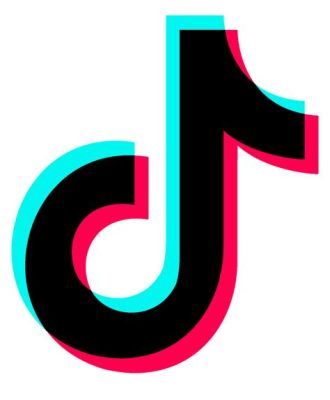 tiktok ロゴ 使用許可: デジタル時代のブランドアイデンティティとその影響